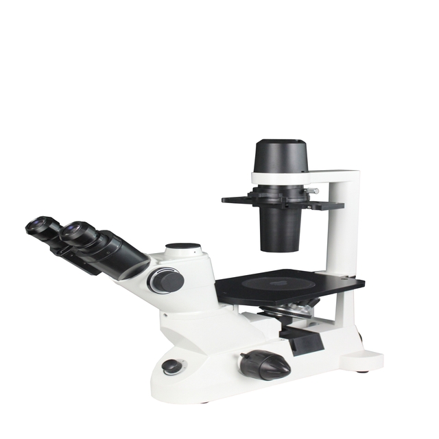 Metrology & Projectors